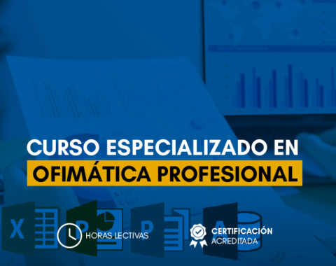 Estructura_Ofimatica profesional