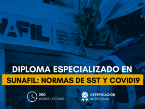 Estructura_SUNAFIL- Normas de SST y COVID19.png Estructura_SUNAFIL- Normas de SST y COVID19.png