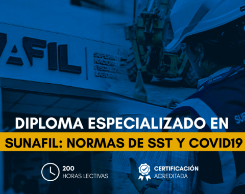 Estructura_SUNAFIL- Normas de SST y COVID19.png Estructura_SUNAFIL- Normas de SST y COVID19.png