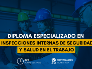 Estructura_Inspecciones internas de seguridad y salud en el trabajo.png Estructura_Inspecciones internas de seguridad y salud en el trabajo.png