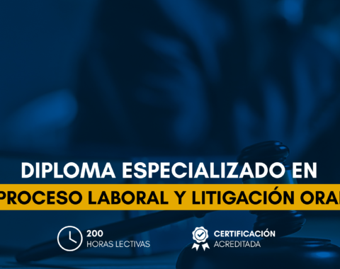 Estructura_Proceso Laboral y Litigación Oral.png Estructura_Proceso Laboral y Litigación Oral.png