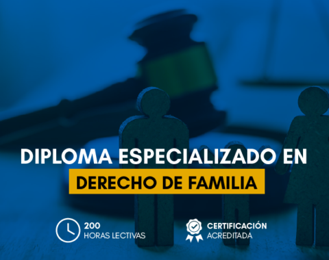 Estructura_DERECHO DE FAMILIA.png Estructura_DERECHO DE FAMILIA.png