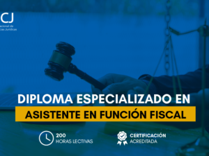Estructura_asistente en funcion fiscal copia.png Estructura_asistente en funcion fiscal copia.png