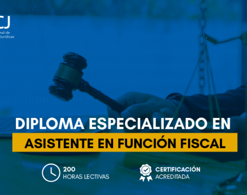 Estructura_asistente en funcion fiscal copia.png