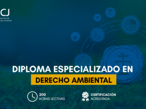 Estructura_derecho ambiental copia.png Estructura_derecho ambiental copia.png