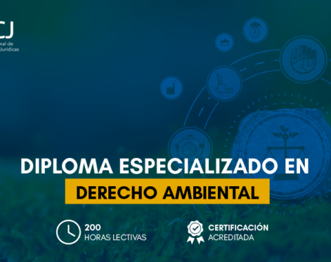 Estructura_derecho ambiental copia.png
