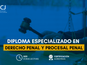 Estructura_asistente en funcion fiscal copia 2.png Estructura_asistente en funcion fiscal copia 2.png