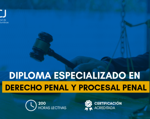 Estructura_asistente en funcion fiscal copia 2.png